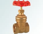 check valve