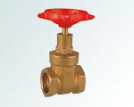 check valve