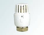 Radiator Valve accessory